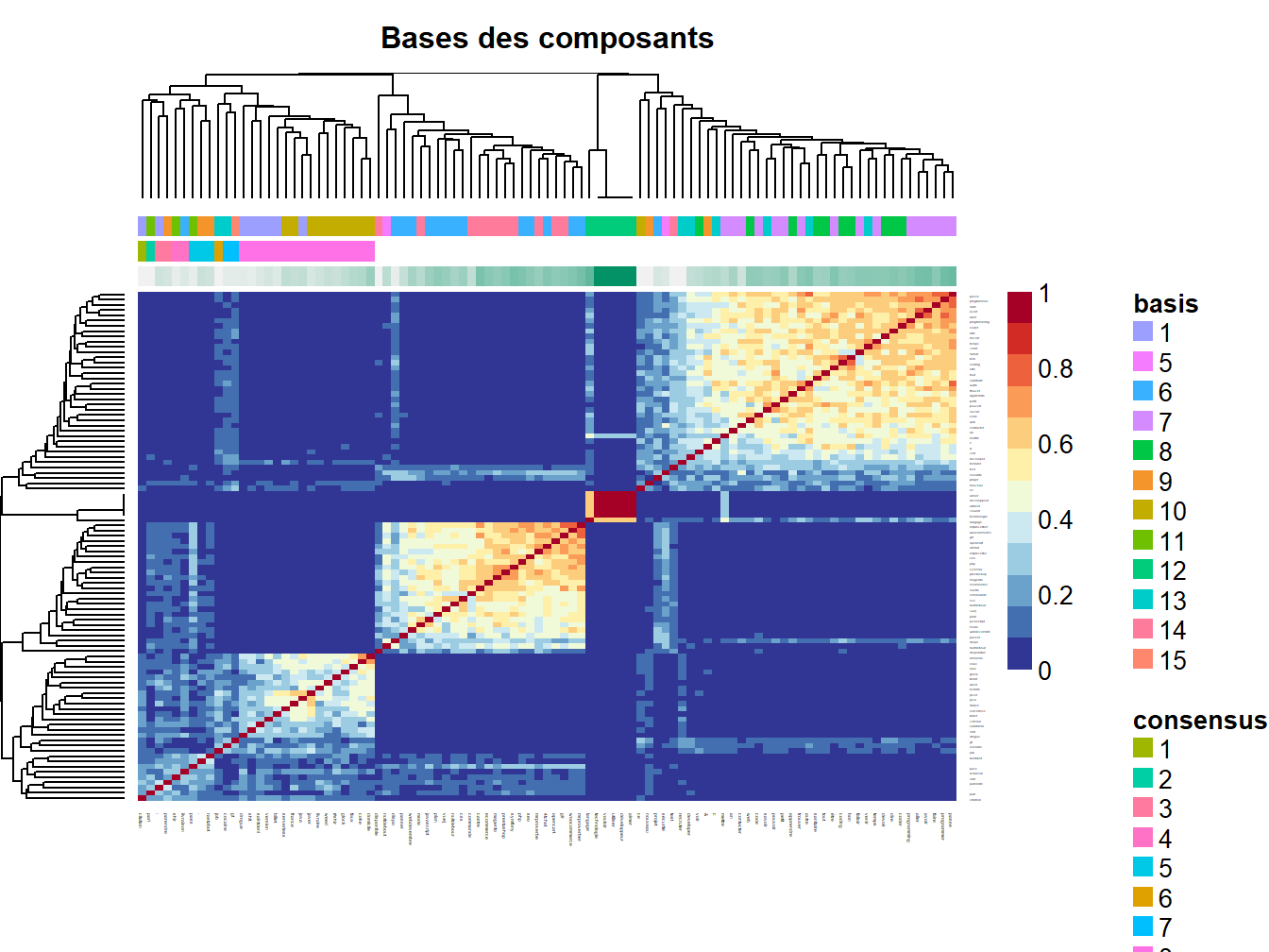 Map de consensus entre  les 30 itérations